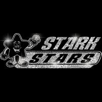 GLT102 SILVER GLITTER Thumbnail